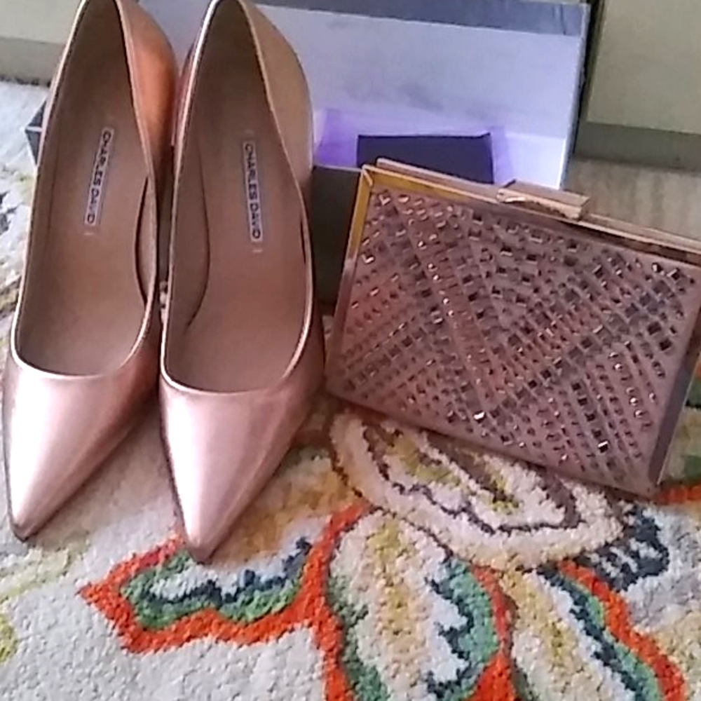 Charles david pumps sz 8 & matchibg bag